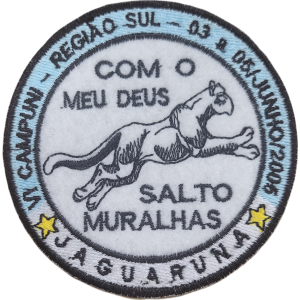 VI CAMPUNI REG SUL - AC 2005