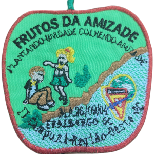 II CAMPUNI REG OESTE - AC 2004