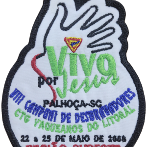 VIII CAMPUNI - AC 2008