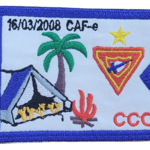 CCCS REG SUDESTE - AC 2008